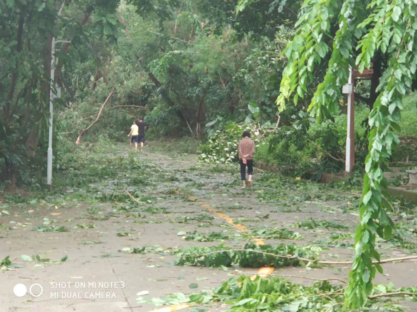 影像測(cè)量?jī)x|二次影像測(cè)量?jī)x|三次影像測(cè)量?jī)x|平面度影像測(cè)量?jī)x|影像測(cè)量設(shè)備